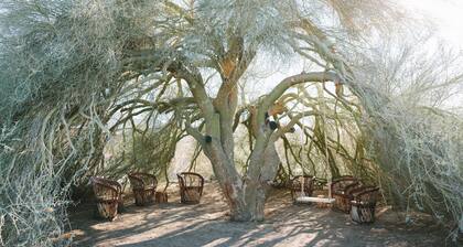 Palo Verde Ranch Joshua Tree - Boulder views - Walk to popular Mas O Menos!