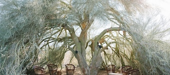 Palo Verde Ranch Joshua Tree - Boulder views - Walk to popular Mas O Menos!