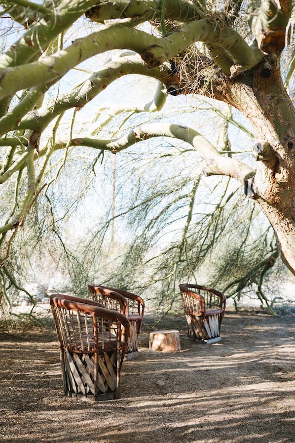 Wicker chairs under a tree with a clear view of the sky.