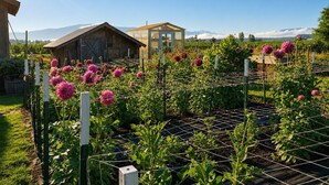 A greenhouse with flowering plants, a wooden structure, and a clear sky. - Quiet Glamping Barn on a Working Farm with Fire Pit and Open Views (Lynden)