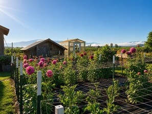 Jardines del alojamiento