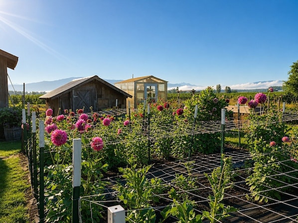 A garden with a wooden structure, a greenhouse, and a mountainous background.