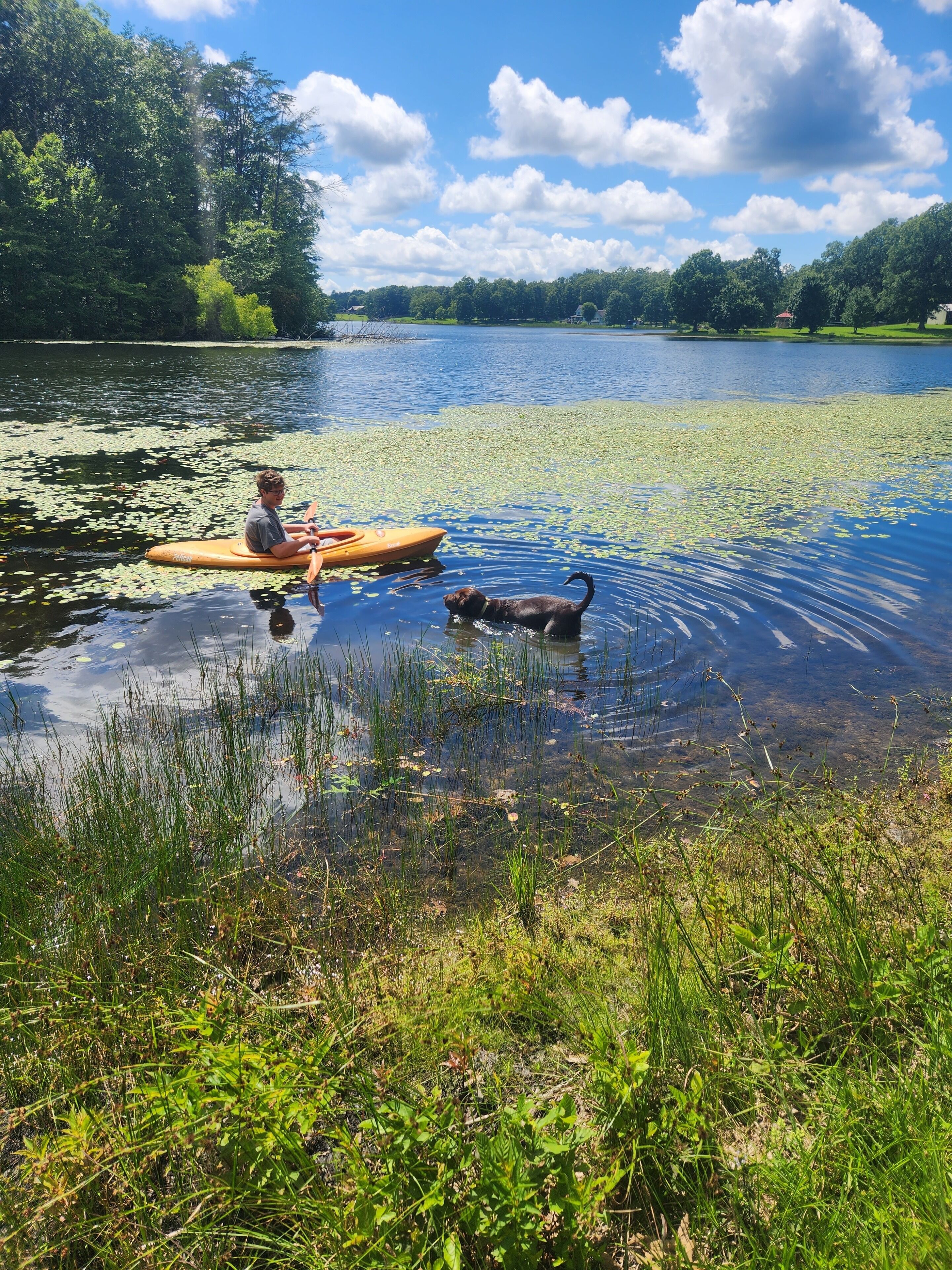 A person kayaking on a calm lake surrounded by lush greenery and trees.