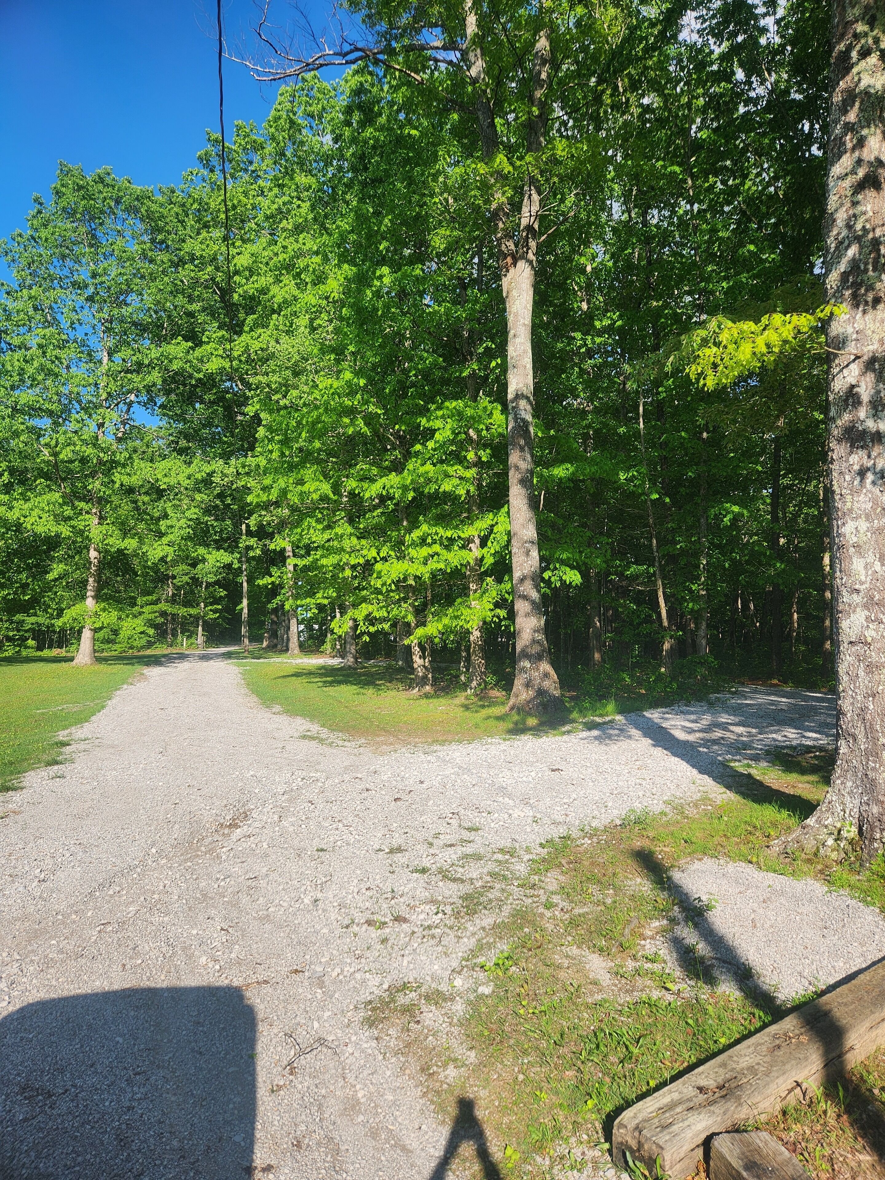 A gravel path leading through a wooded area with trees and a clear sky.
