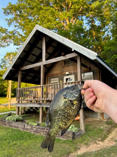 Reel Simple LAKEFRONT Cabin Close to Hiking Trails, The Caverns and OHV Park!