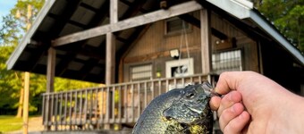 Reel Simple LAKEFRONT Cabin Close to Hiking Trails, The Caverns and OHV Park!