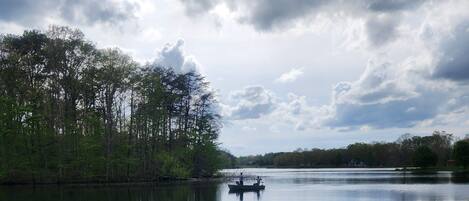 Un lago tranquilo con un bote, rodeado de árboles densos y un cielo nublado.