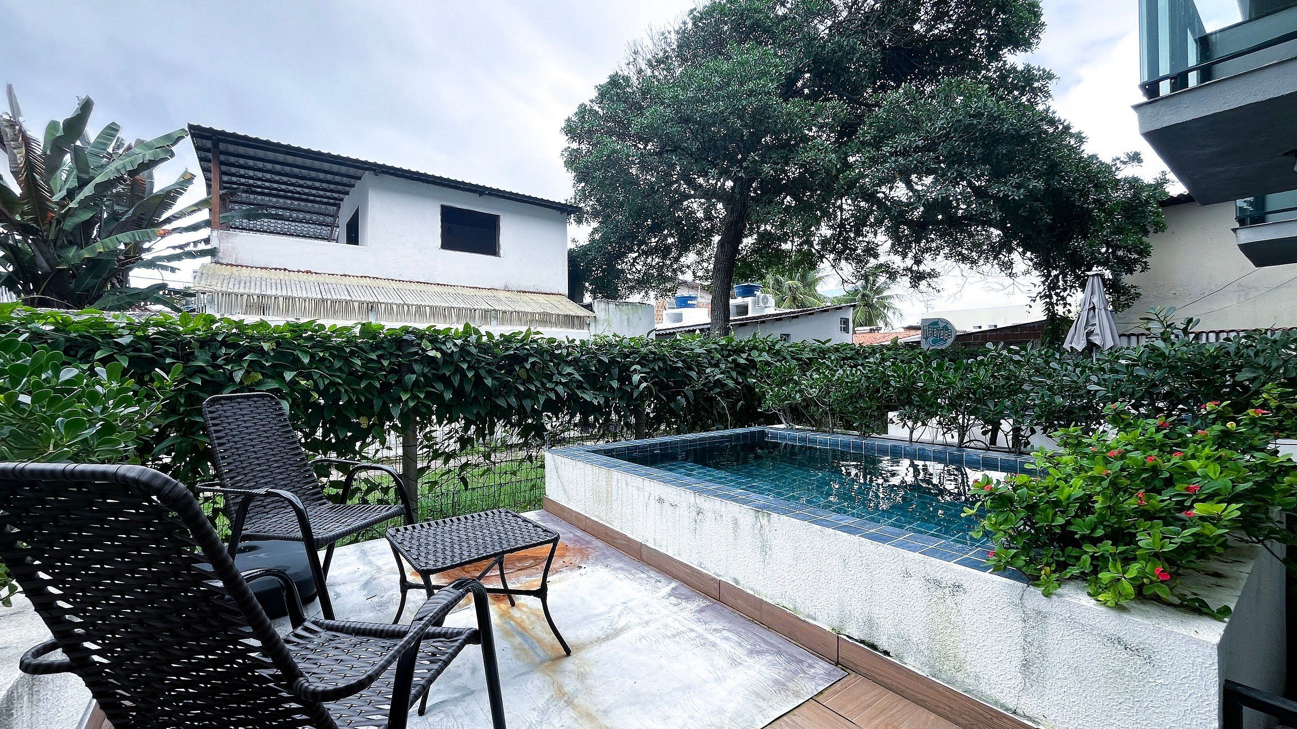 A pool area with a tiled edge, surrounded by greenery and a white wall.
