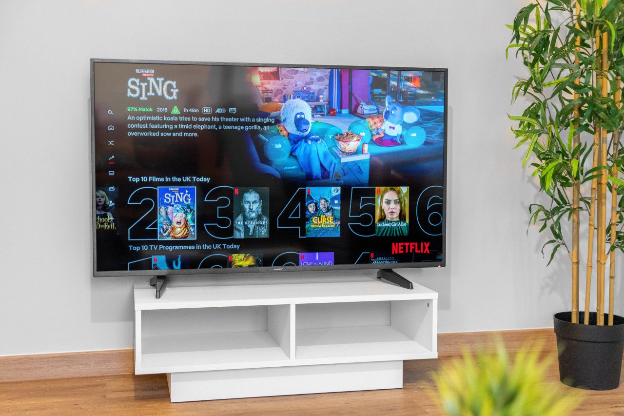 Television