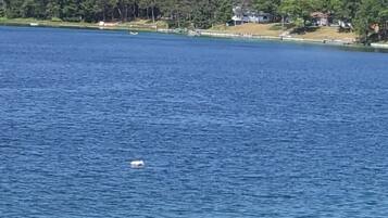 Rannalla, aurinkotuoleja, rantapyyhkeitä