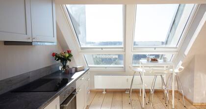 Penthouse with a view of Schönbrunn Palace