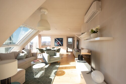 Penthouse with a view of Schönbrunn Palace