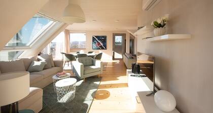 Penthouse with a view of Schönbrunn Palace