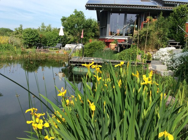 Property grounds - Vacation close to nature (Breitscheid)