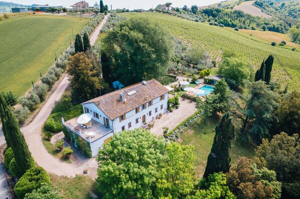 Una amplia villa con piscina, rodeada de viñedos y árboles.
