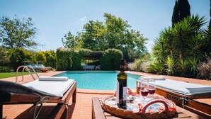 Ein Poolbereich mit Liegestühlen, einem Tisch mit Flasche und Gläsern sowie Blick auf den Pool und die umliegende Bepflanzung.