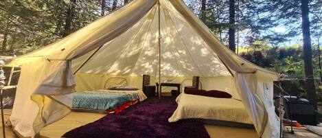 1 chambre, Wi-Fi