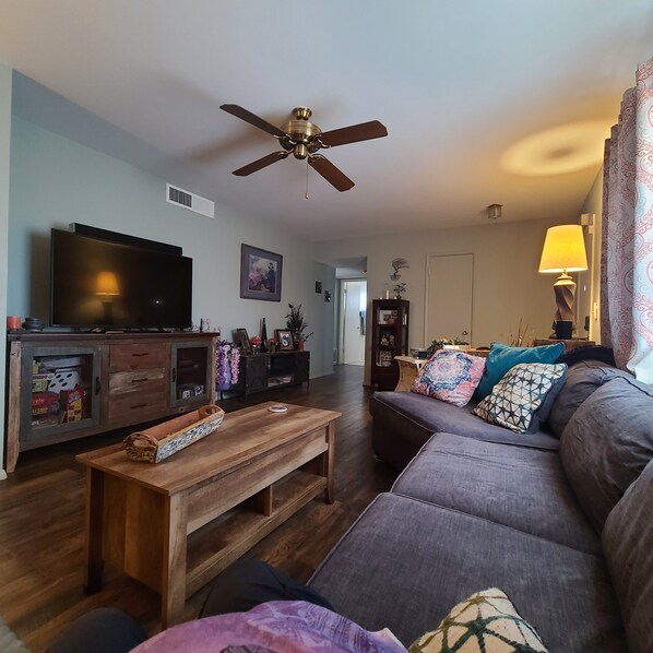 Smart TV, fireplace, DVD player, stereo