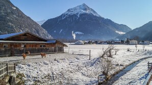 Eine Holzhütte mit einem Metall-Dach, umgeben von verschneiter Landschaft und einem Berg im Hintergrund.