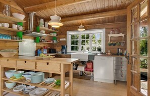 Fridge, stovetop, dishwasher - Pet friendly home in Samsø with kitchen (Samsø)