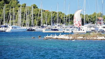 Port de plaisance