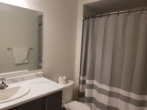 Suihkun ja ammeen yhdistelmä, hiustenkuivaaja, pyyhkeet, saippua