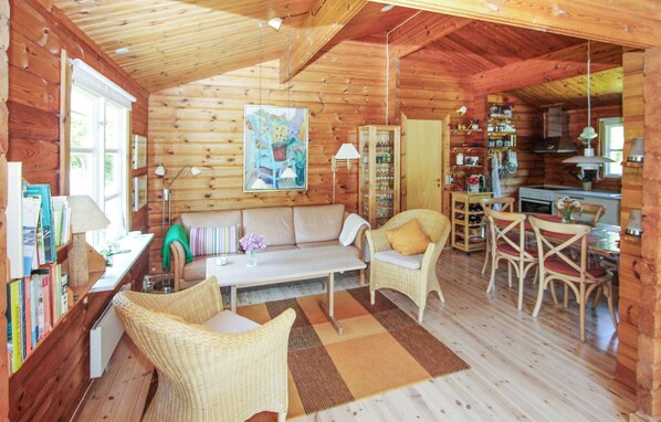 تلفزيون، مدفأة