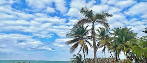 Beach nearby