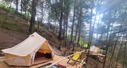 beautiful glamping in the middle of the forest with double bed