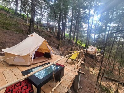 hermoso glamping en medio del bosque con cama matrimonial