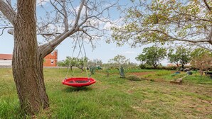 Een gazon met een rode trampoline onder een boom.