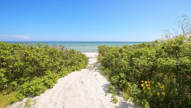 Um caminho de areia que leva a uma praia, com vegetação verde exuberante em ambos os lados.