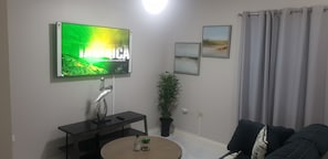 Executive Apartment | Living area - 5 Star Fresh And Clean Condo In New Kingston (Kingston)