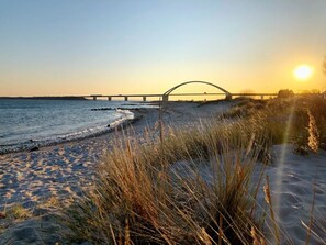 A beach with a bridge in the background.