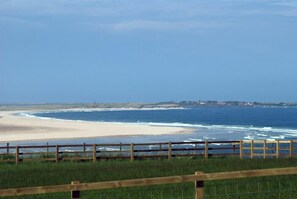 Property grounds - Jackdaw (Bamburgh)