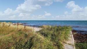 Un paisaje costero con una playa de arena, vegetación herbácea y un cielo azul despejado.