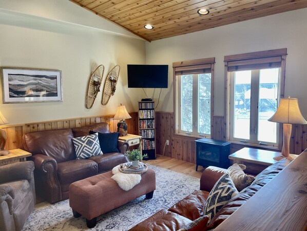 TV, DVD player, books, music library