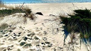 A beach with footprints in the sand, clear sky, and ocean in the background. - Beach front luxury spacious villa ! (Sheboygan)