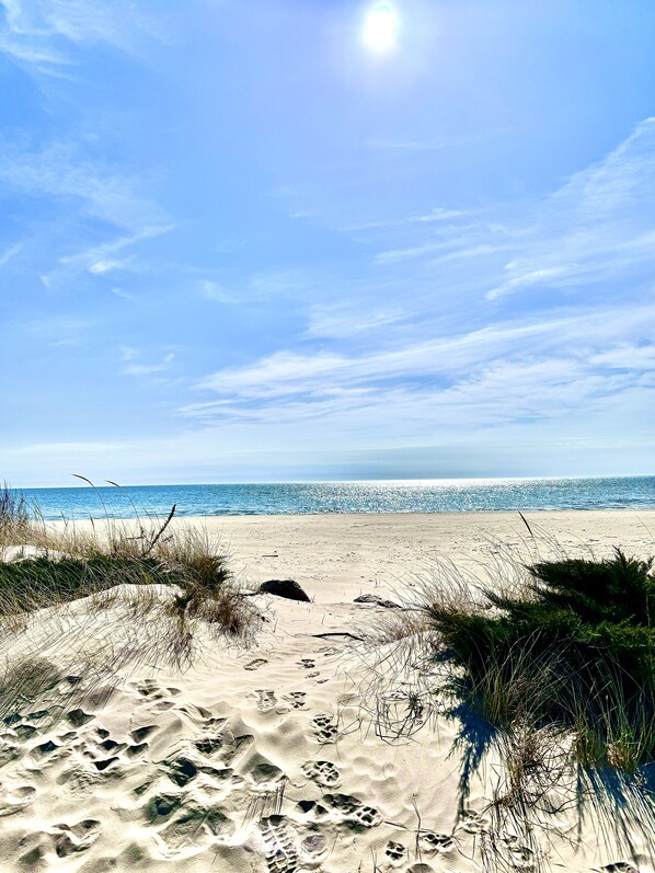 On the beach - Beach front luxury spacious villa ! (Sheboygan)