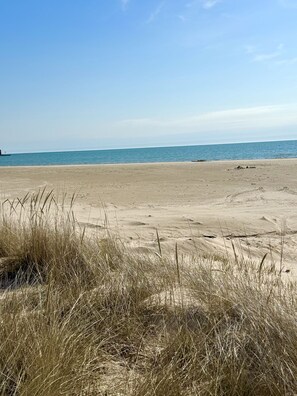 On the beach - Beach front luxury spacious villa ! (Sheboygan)