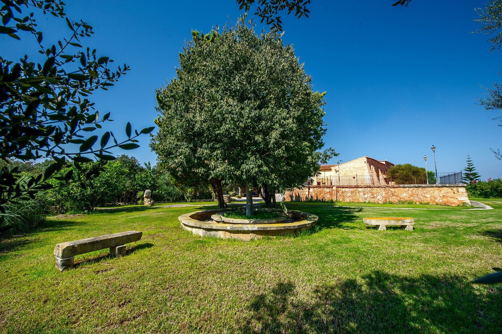 A park with a large tree, a stone bench, and a stone wall with a building in the background.