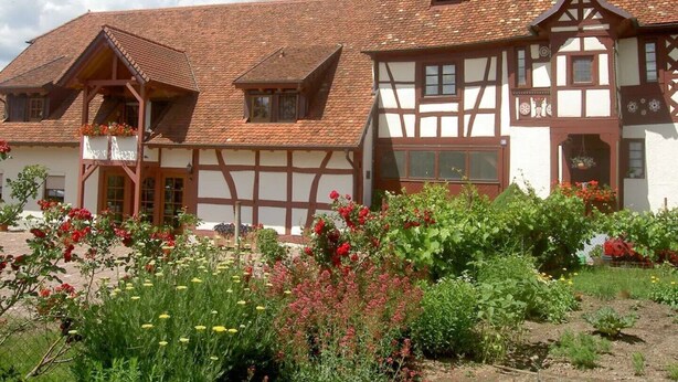 A traditional half-timbered house with a garden in front. - Vacation apartment with 50 square meters - at Gästehaus Kunz in Rust (Rust)