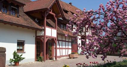 Vacation apartment with 50 square meters - at Gästehaus Kunz in Rust