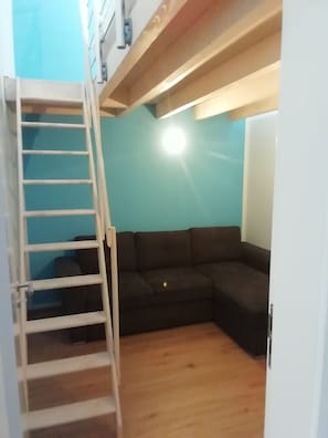 Et værelse med trægulv, en mørkebrun sofa, en hvid dør og en hvid stige.