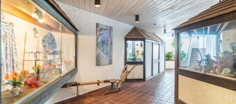 Apartamento 'Schwarzwald Wölkchen' con vistas a la montaña, jardín compartido y Wi-Fi