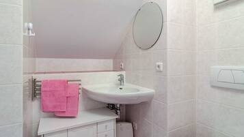 Shower, hair dryer