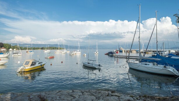 A marina with various boats docked, calm water, and a clear sky. - Holiday Apartment "Bodenseeblick" with Wi-Fi on Request (Meersburg)