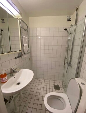 Combined shower/bathtub, hair dryer