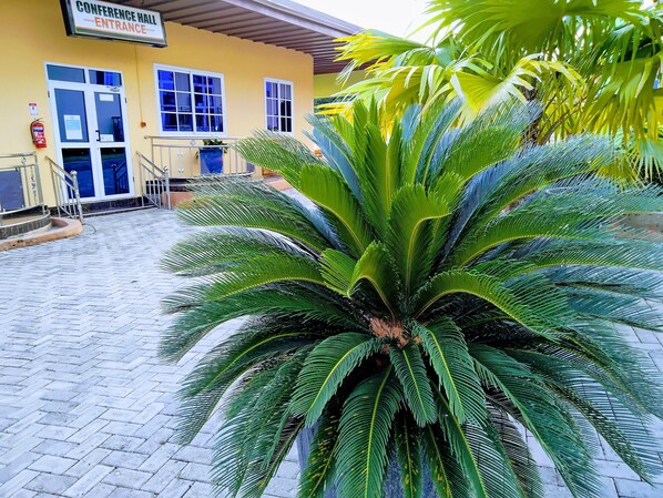 A conference hall entrance with a large palm tree in the foreground.