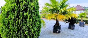 Renajoe Exclusive Centre